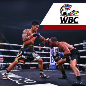 Web Page WBC